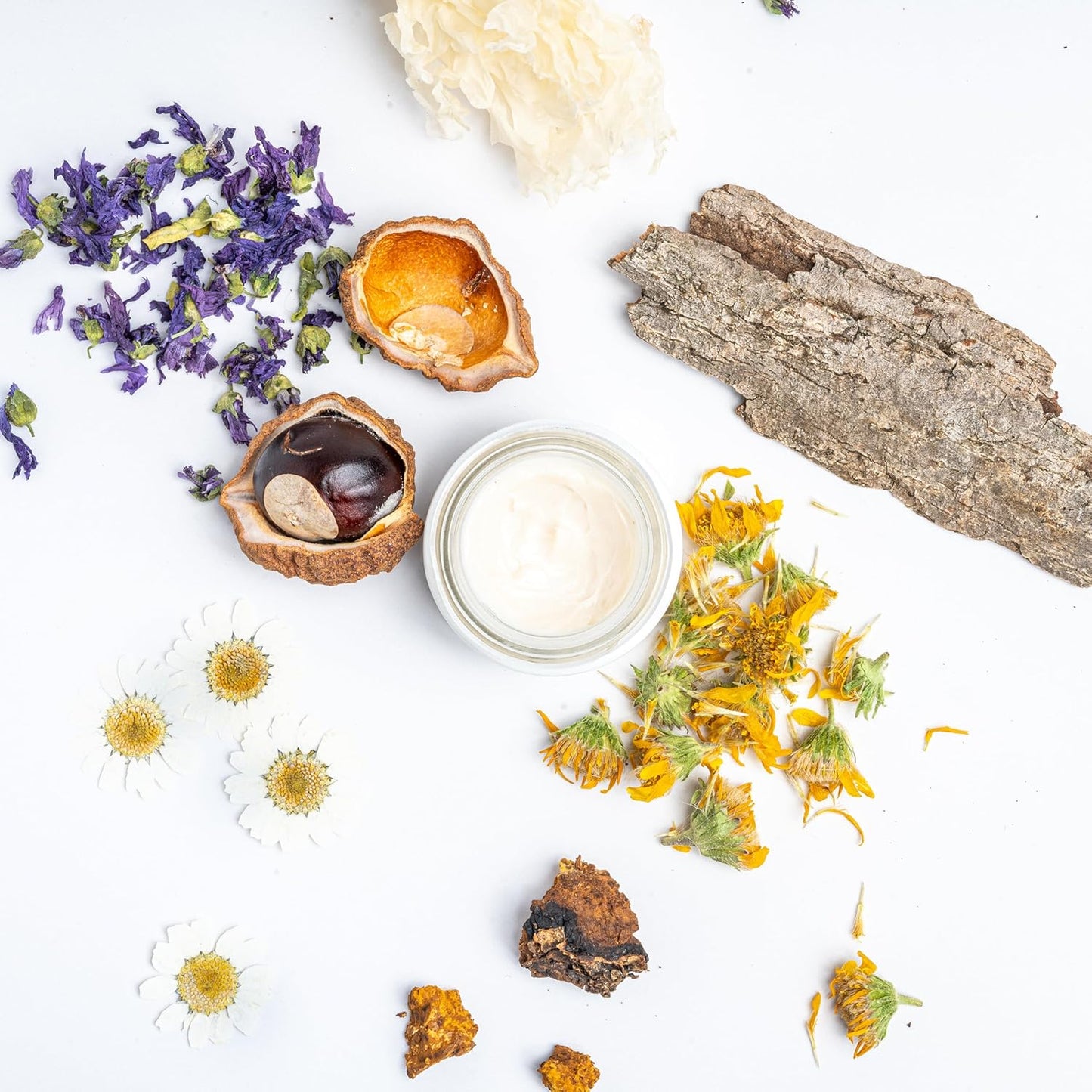 Ursa Major Forest Alchemy Eye Cream | Natural Under-Eye Moisturizer for Dark Circles, Fine Lines, Puffy Eyes and Wrinkles | Vegan, Cruelty-Free, Non-toxic, Unscented | 0.50 ounces